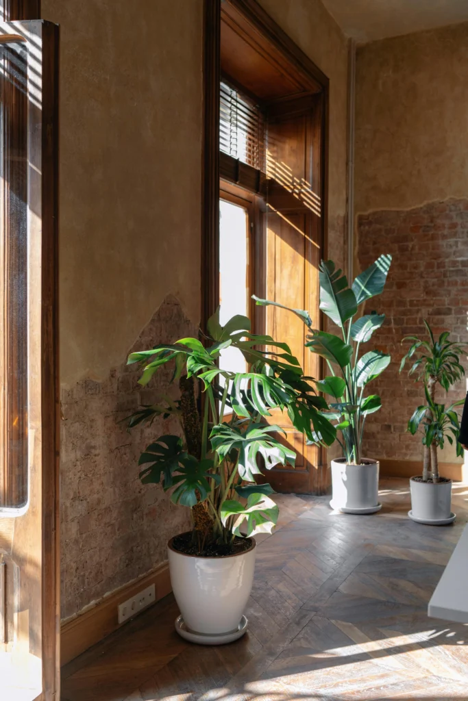 7 Tips. Residencia Kendall Jenner vs Pantone Cloud Dancer Ventanas con Marco de Madera y Plantas en Ambiente Industrial