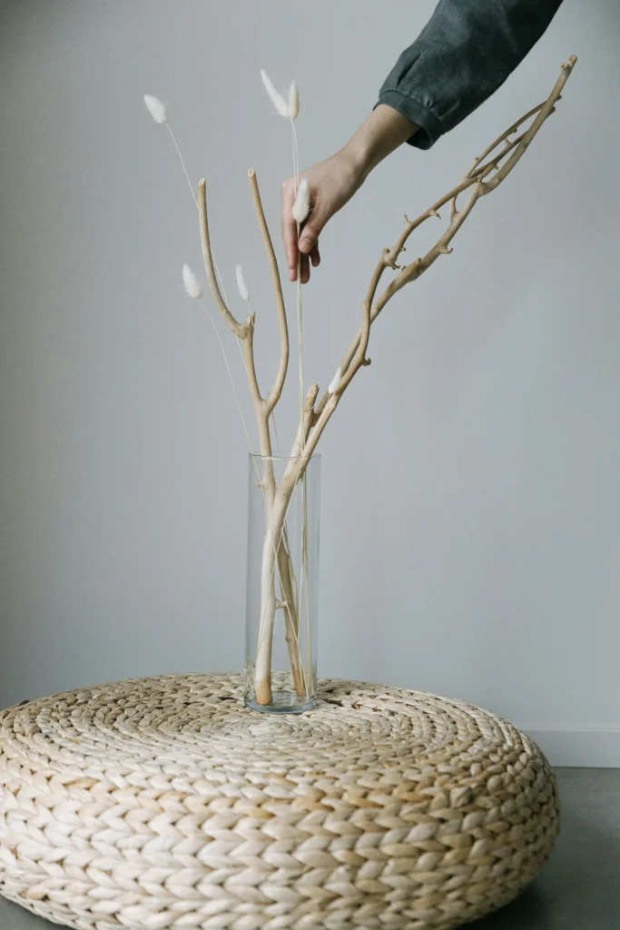 inicio Composición minimalista con fibras naturales y ramas secas