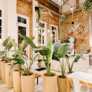 Cafetería Industrial con Ladrillo Visto y Vegetación Colgante