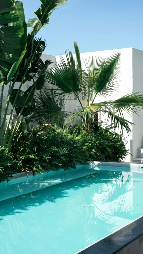 “Club Fontanar” Piscina Exterior con Vegetación Tropical y Arquitectura Minimalista