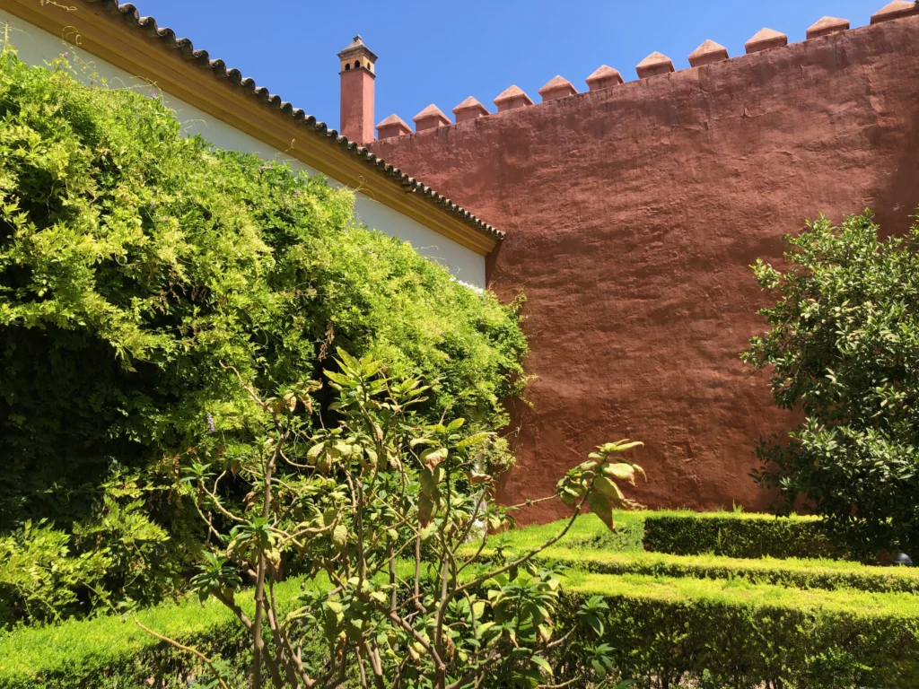 "Santa Cruz 71" — Sevilla Enredaderas en Patio Andaluz