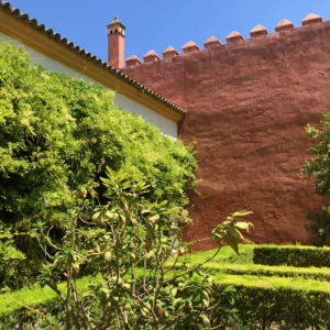 Enredaderas en Patio Andaluz