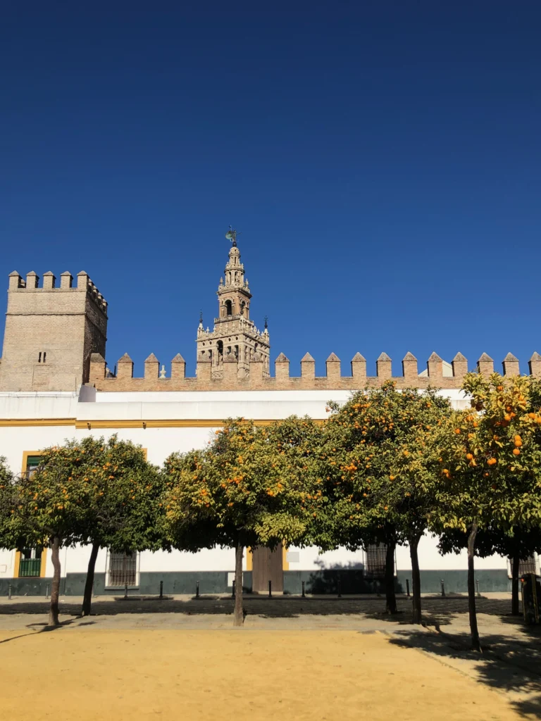 Giralda y Muralla Histórica